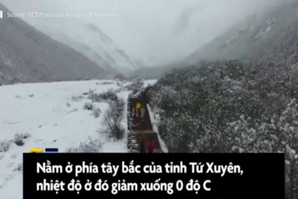 Mê đắm trước vẻ đẹp của những thửa ruộng bậc thang mùa hè tại miền sơn cước Trung Hoa-9