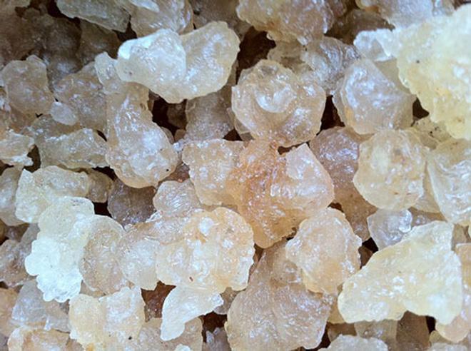 Mủ trôm tốt cho da và sức khoẻ thế nào mà khiến Ngọc Trinh nghiện đến nỗi uống 3 lần/ngày trong mùa hè?-5