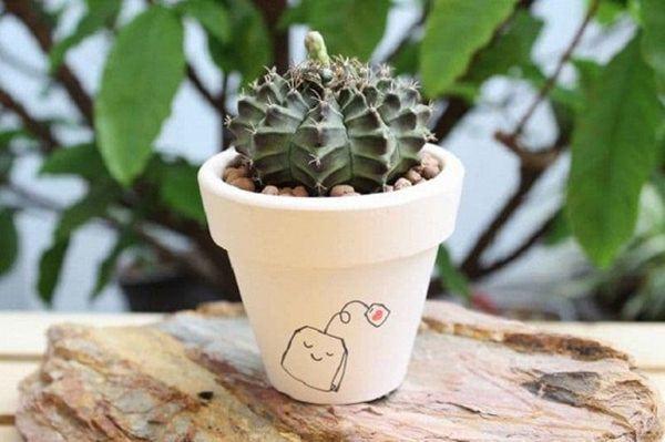 Trong nhà mắc phải 6 đại kỵ này dễ bị tán lộc, phải xem lại ngay-1