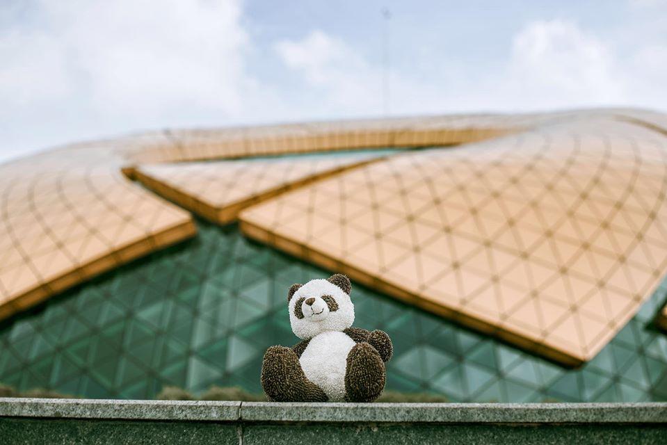 Chàng trai 9X đưa gấu bông đi du hí khắp Đà Lạt-1