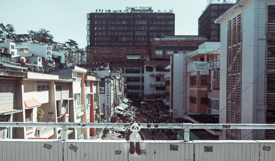 Chàng trai 9X đưa gấu bông đi du hí khắp Đà Lạt-3