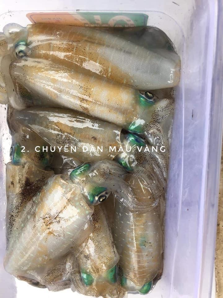 Cách chọn mực lá cho chuẩn, vụng mấy cũng làm được-2