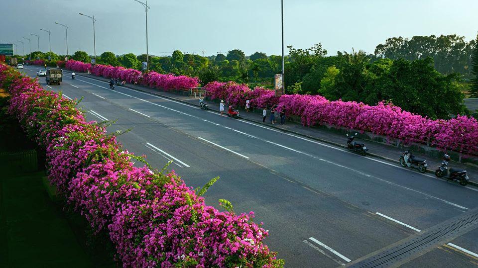 Bạn gái cũ Quang Hải tạo dáng xinh đẹp trên con đường hoa giấy nổi khắp mạng xã hội-2