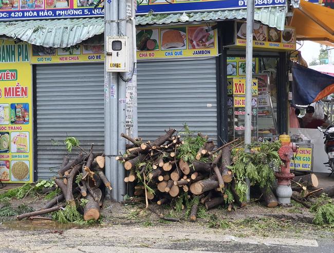 Mưa lớn kèm gió mạnh khiến phượng lại bật gốc, 3 nữ sinh ở Đồng Nai bị đè xây xát-4