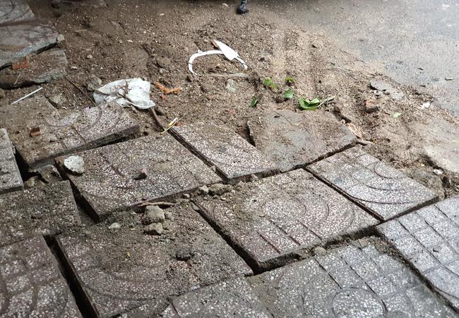 Mưa lớn kèm gió mạnh khiến phượng lại bật gốc, 3 nữ sinh ở Đồng Nai bị đè xây xát-7