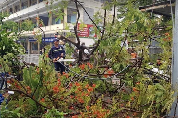 Cơn mưa vàng giải nhiệt Hà Nội sau chuỗi ngày oi bức-8