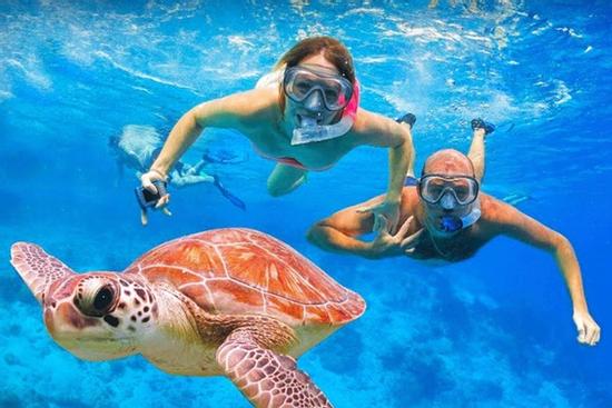 Bơi cùng rùa tại thiên đường ở Hawaii