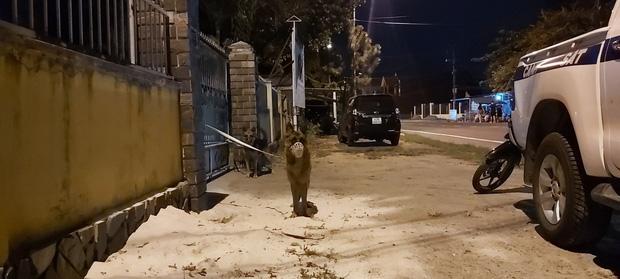 Nóng: Xuyên đêm vây bắt kẻ sát nhân vượt ngục, cướp bóc trốn trên đèo Hải Vân-2