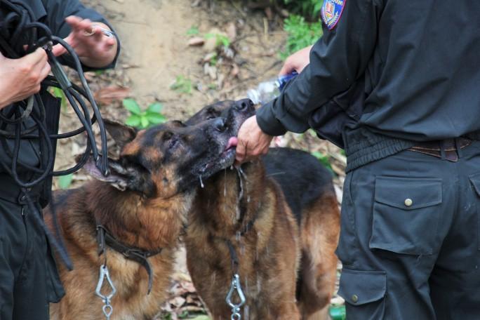 Truy bắt kẻ giết người vượt ngục: Đề xuất tiêu diệt nếu chống trả-2