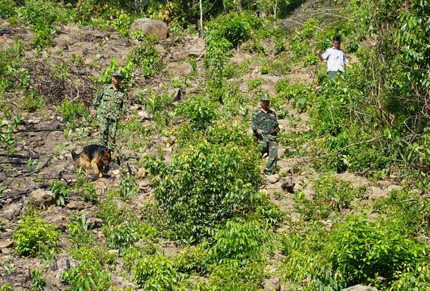 Không loại trừ kẻ vượt ngục đặc biệt nguy hiểm đã tẩu thoát khỏi đèo Hải Vân, tính phương án dùng flycam truy tìm-3