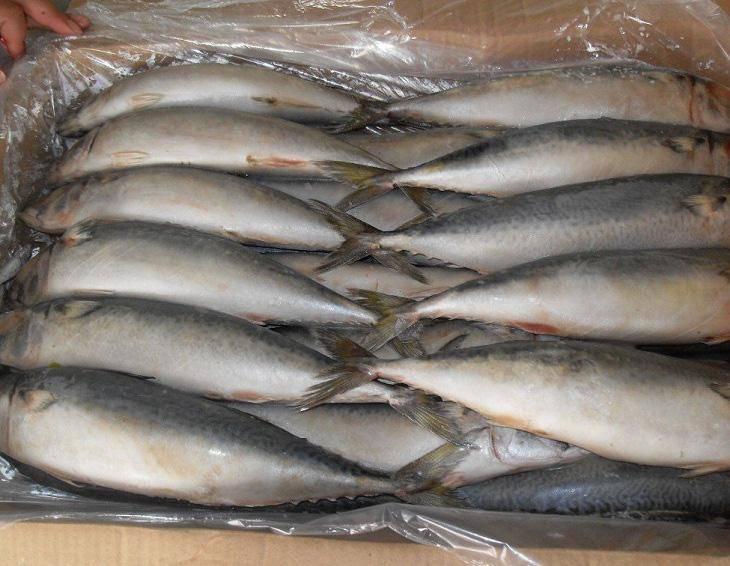 Thêm thao tác nhỏ này, cá, thịt, gia cầm dù để lâu vẫn cứ tươi rói như vừa mới mua-4