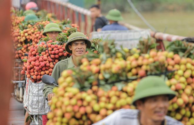 Clip: Thót tim cảnh người dân gồng mình chở vải thiều qua cầu tử thần-2