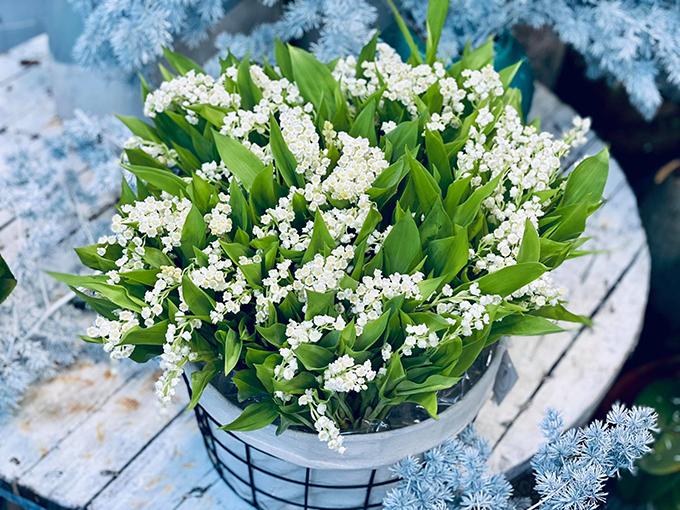 Ý nghĩa hoa cầm tay, cài áo của vợ chồng Công Phượng-5