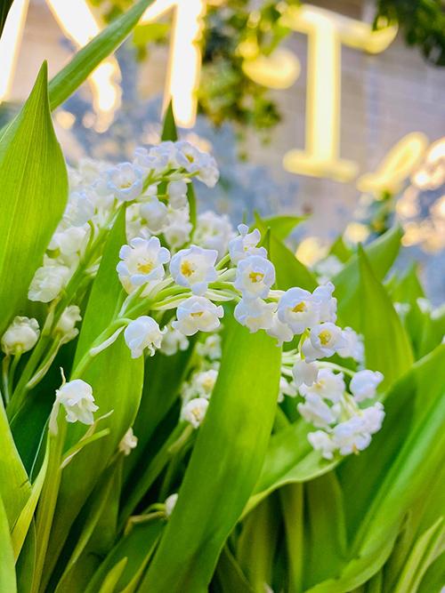 Ý nghĩa hoa cầm tay, cài áo của vợ chồng Công Phượng-6