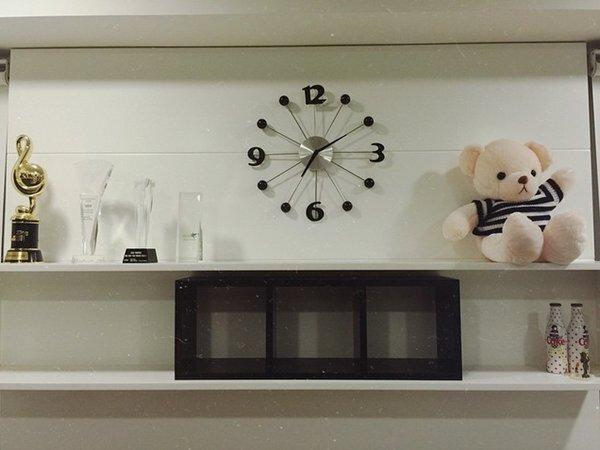 Kiếm 21 tỷ mỗi năm, Sơn Tùng M-TP sống sang chảnh thế nào?-6