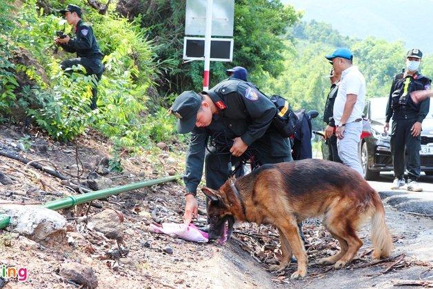 Tạm rút chó nghiệp vụ, thay đổi phương án truy bắt Triệu Quân Sự-2