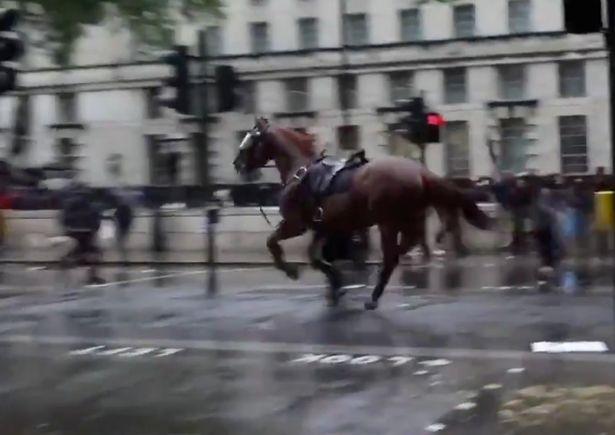 Nữ cảnh sát bị ngã văng khỏi ngựa trong cuộc biểu tình ở London-2