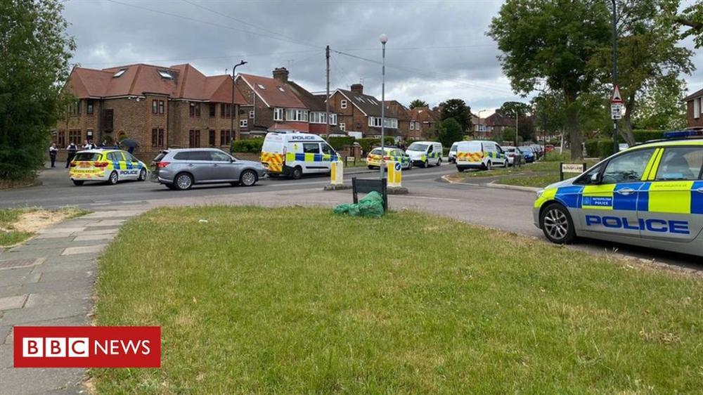 Tìm thấy thi thể 2 phụ nữ trong công viên ở tây bắc London-1