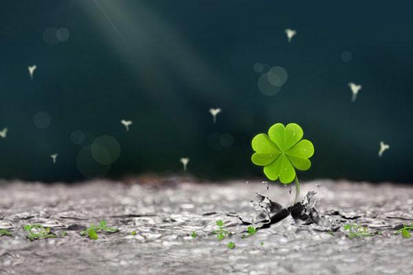 Bất chấp 4/10 hành tinh đang nghịch hành, các chòm sao sau vẫn gặp siêu nhiều may mắn trong tháng 6-1