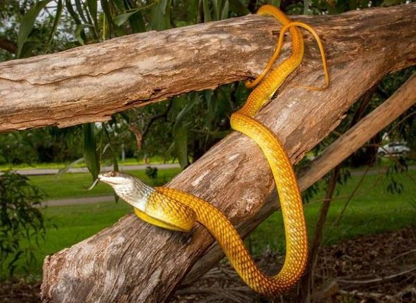 Lý do 4 con giáp này hối hận vì khi ngồi trên giảng đường đã không học hành chăm chỉ-2