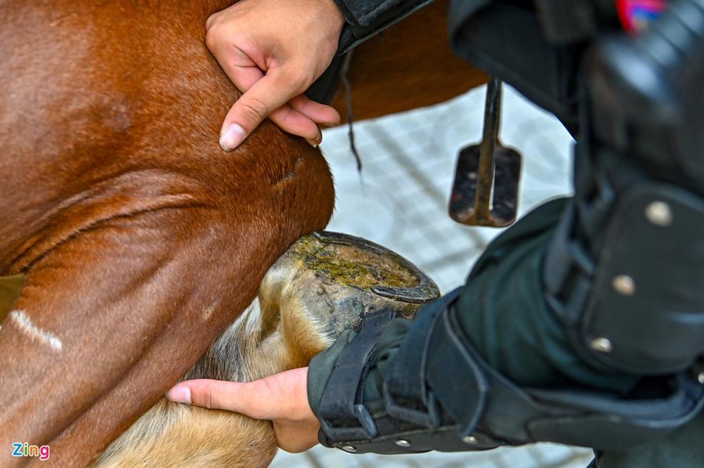 Dàn kỵ binh diễu hành trước nhà Quốc hội-7