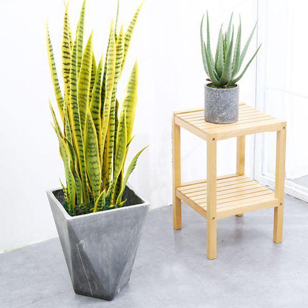 Phòng tắm đặt loại cây thần thánh này, 1 tuần không dọn vẫn thơm ngát-1