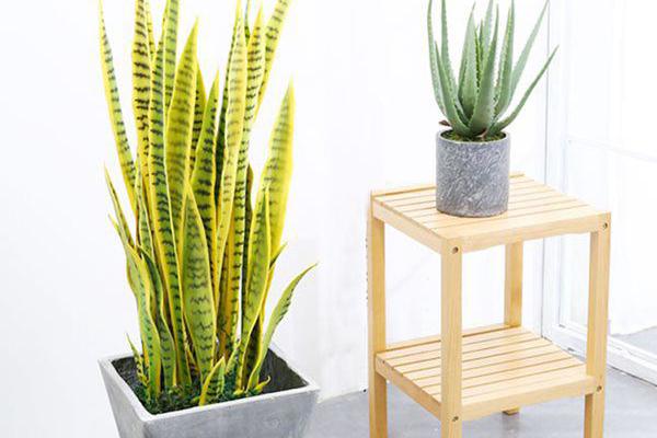 Sống chết trả thù người yêu cũ, đây là tính cách khó ưa của 3 cung hoàng đạo này-3