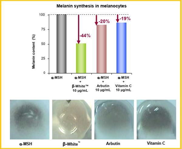 Cải thiện nám da với công nghệ β-White hướng đích dạng liposome-1