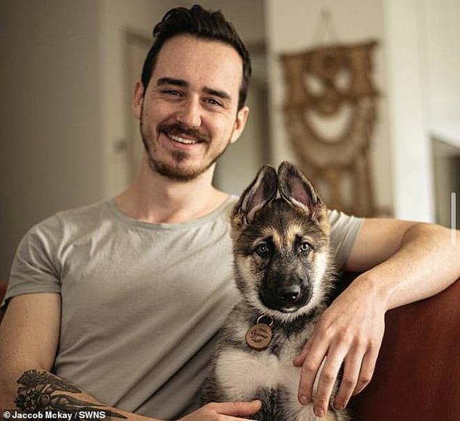 Ghế sofa hơn 80 triệu bị xé tanh bành, người đàn ông hú hồn khi biết thủ phạm-2