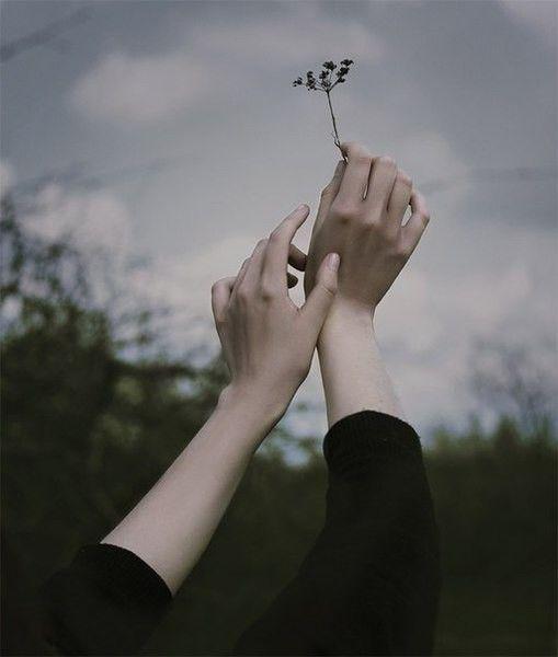 Tử vi thứ Tư ngày 10/6/2020 của 12 con giáp: Dần thành công vang dội, Tý cần bình tĩnh hơn-5