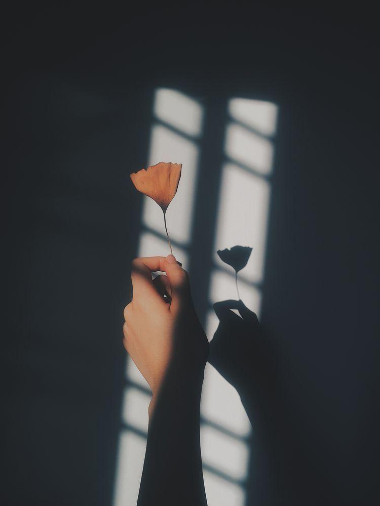 Tử vi thứ Tư ngày 10/6/2020 của 12 con giáp: Dần thành công vang dội, Tý cần bình tĩnh hơn-6