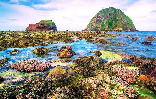 Vẻ đẹp hữu tình không phải ai cũng biết đến ở Hòn Yến, Phú Yên-5