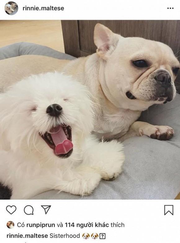 Phillip Nguyễn ngày càng chăm thể hiện tình cảm với Linh Rin sau khi khẳng định yêu lại từ đầu-3