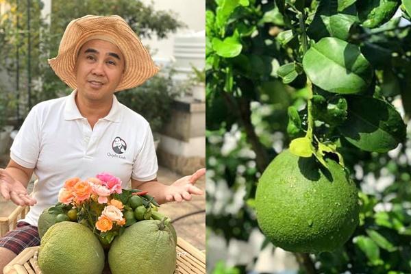 Nhà vườn rộng rãi tràn ngập cây trái của sao Việt-1