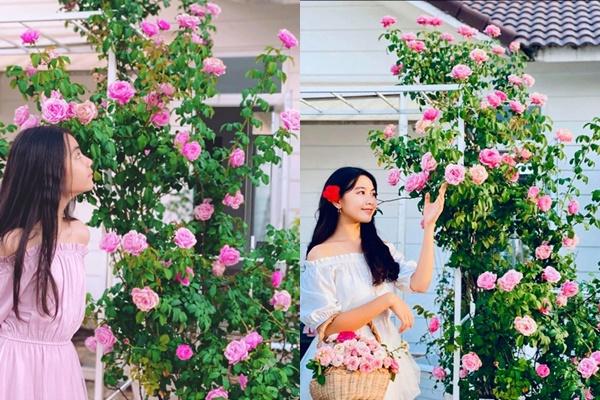 Nhà vườn rộng rãi tràn ngập cây trái của sao Việt-5