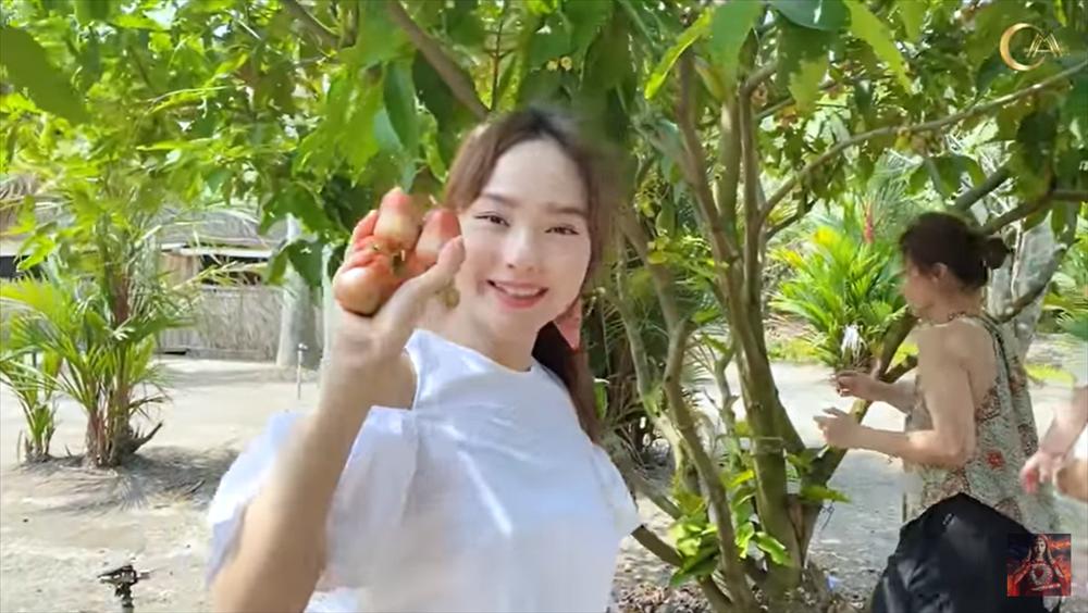 Nhà vườn rộng rãi tràn ngập cây trái của sao Việt-8