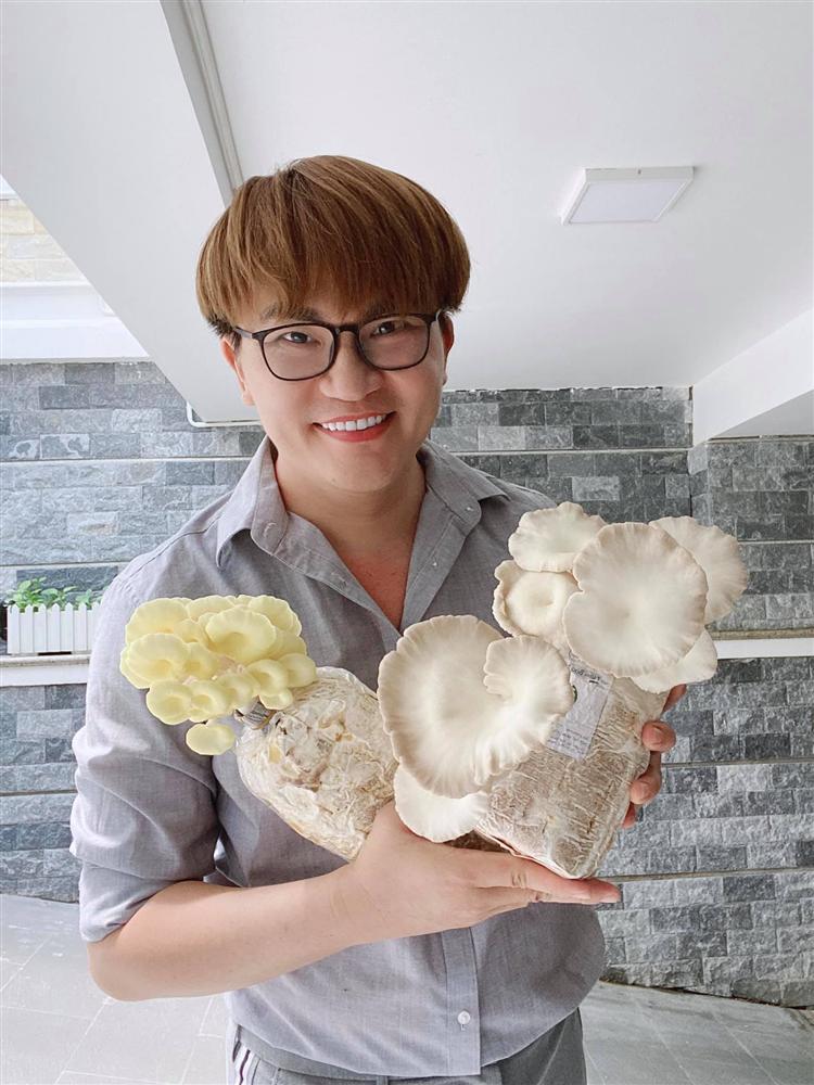 Nhà vườn rộng rãi tràn ngập cây trái của sao Việt-22