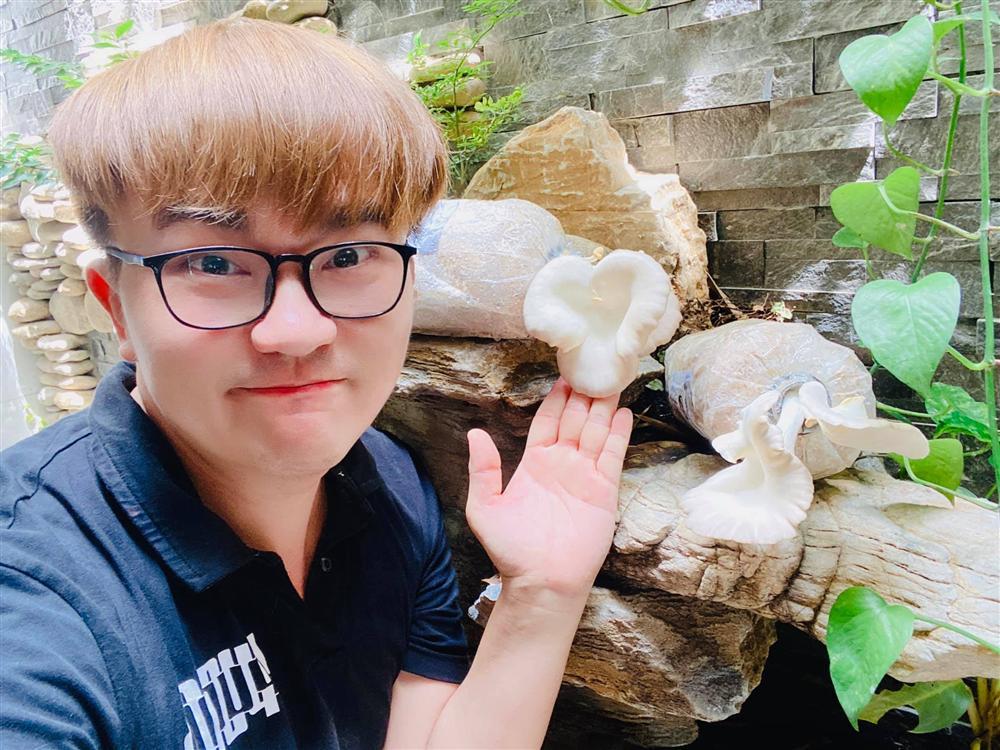 Nhà vườn rộng rãi tràn ngập cây trái của sao Việt-23