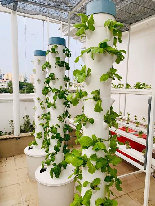 Nhà vườn rộng rãi tràn ngập cây trái của sao Việt-19