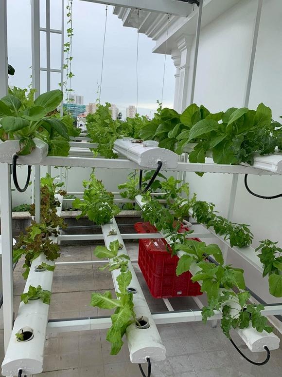 Nhà vườn rộng rãi tràn ngập cây trái của sao Việt-20