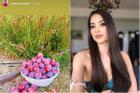 Mở lại Instagram, Phạm Hương chỉ đăng ảnh hoa quả chứ không khoe mặt