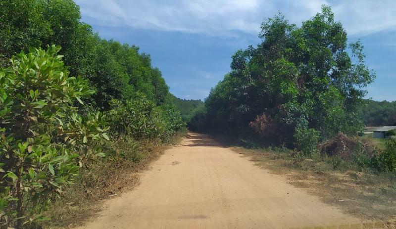 Vụ bé 5 tuổi bị giết ở Nghệ An: Xúc xích và sữa cạnh thi thể bị trói tay, băng keo bịt kín mặt-1