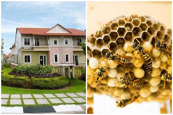 Cuộc đời một bước lên tiên, may mắn thuộc về các chòm sao nào trong 2 tuần tới?-4