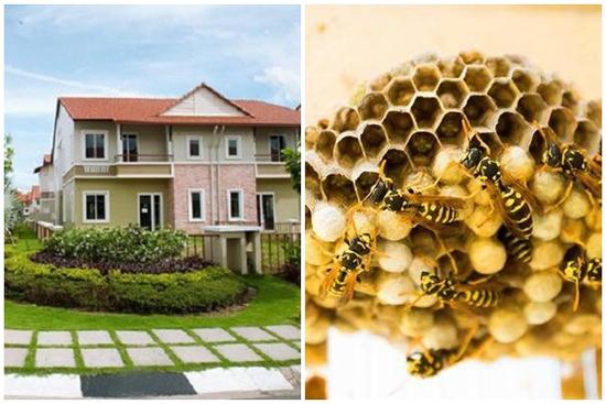 7 dấu hiệu của 1 ngôi nhà hợp Thần Tài, ở lâu sinh phú quý