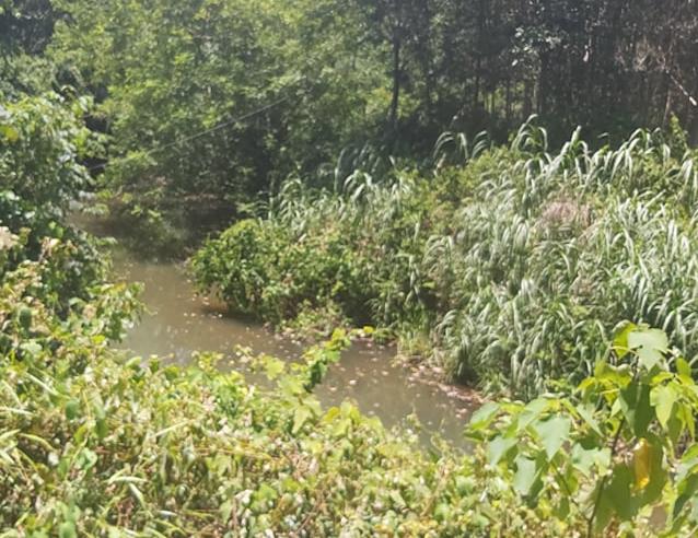 Vụ bé trai 5 tuổi tử vong bị trói 2 tay trong rừng: Nghi phạm có sự chuẩn bị từ trước?-1