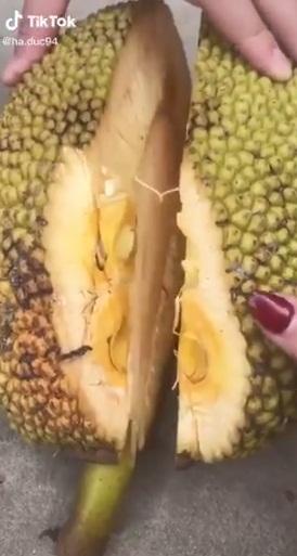 Tin anh bán mít dám bổ cả quả cho ăn thử chắc ngọt rồi mới mua, ai ngờ nhận trái đắng-1