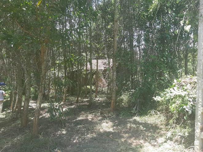 Công an hé lộ nguyên nhân khiến bé 5 tuổi ở Nghệ An tử vong, triệu tập thêm mẹ nghi phạm-1