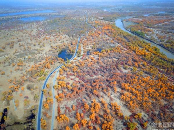 Ngất ngây con đường rừng xanh lá đỏ trên nền cát trắng đẹp như tranh-4