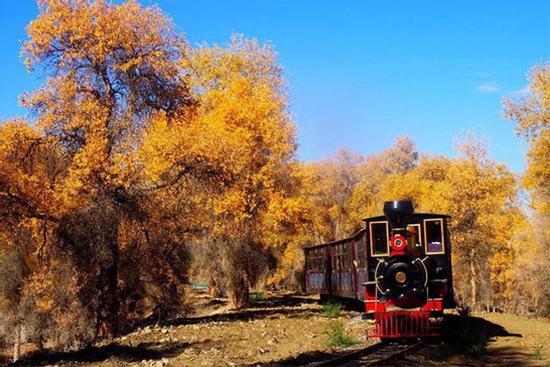 Ngất ngây con đường rừng xanh lá đỏ trên nền cát trắng đẹp như tranh