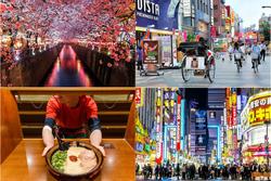 Nghe chuyên gia du lịch chia sẻ 5 'NÊN' 'chuẩn không cần chỉnh' khi du lịch Nhật Bản